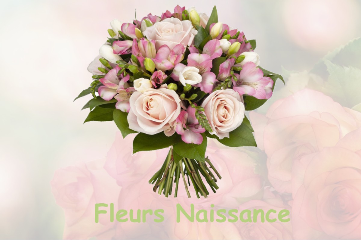 fleurs naissance LE-HAUT-CORLAY